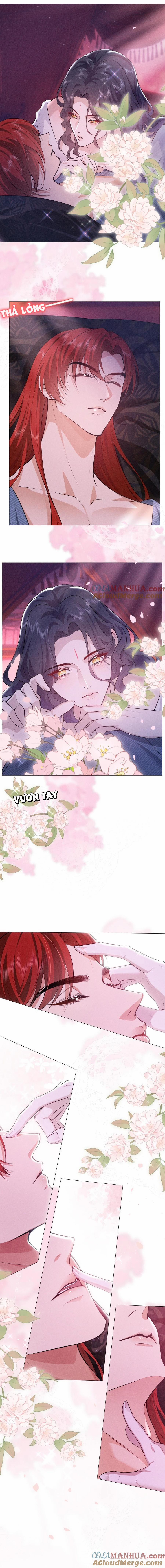 Hỉ Sự Của Đế Quân 14 trang 1