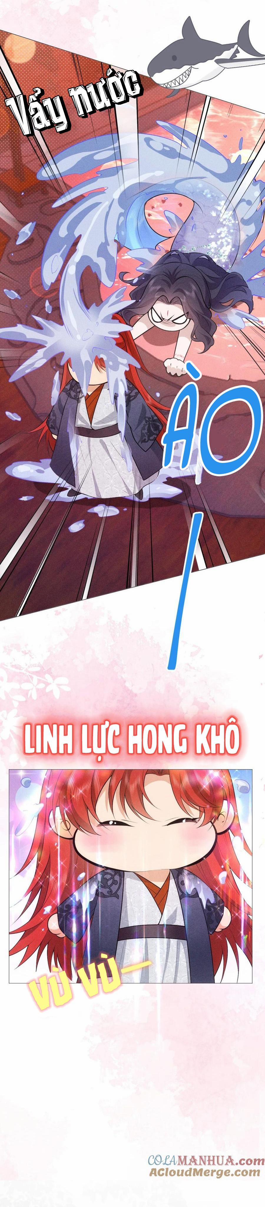 Hỉ Sự Của Đế Quân 16 trang 11