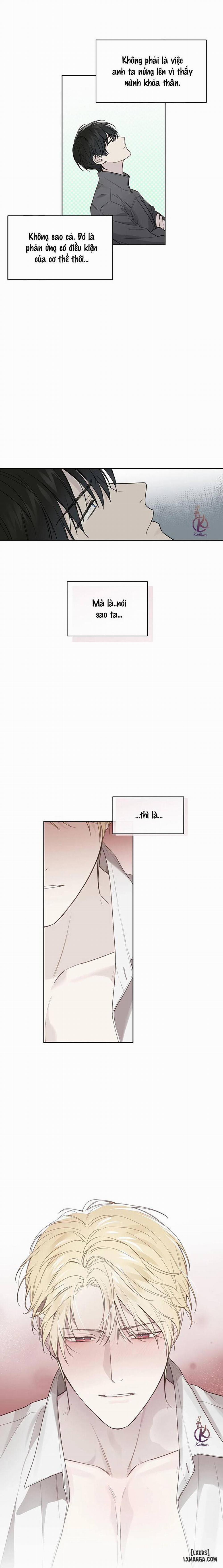 HIỂM HỌA GUIDING 16 trang 8