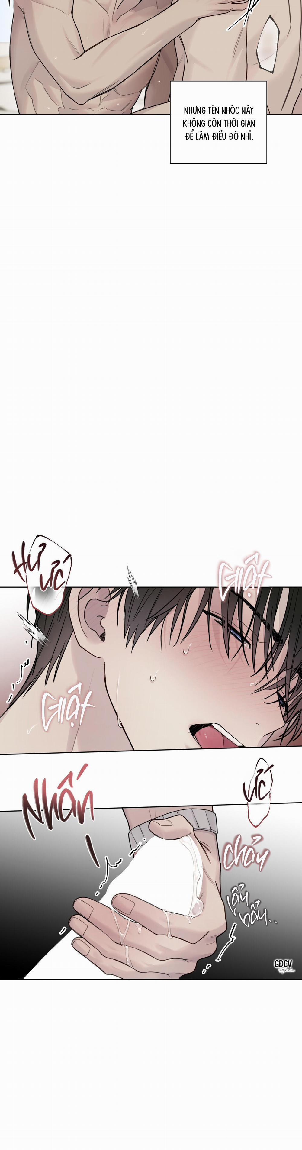 HIỂM HỌA GUIDING 19 0 trang 18