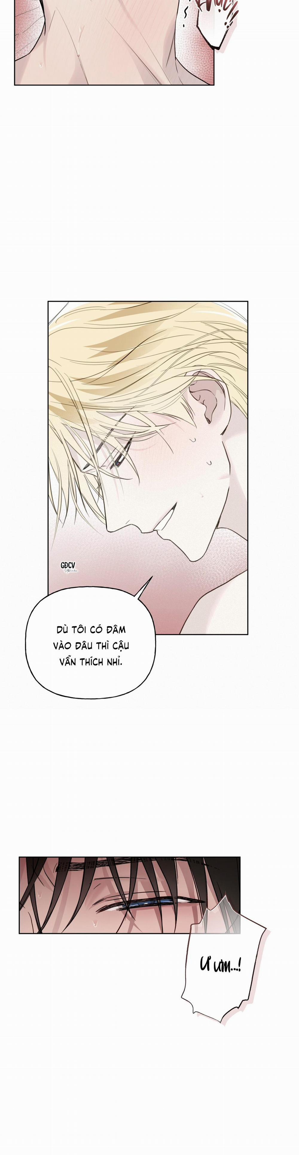 HIỂM HỌA GUIDING 21 0 trang 14