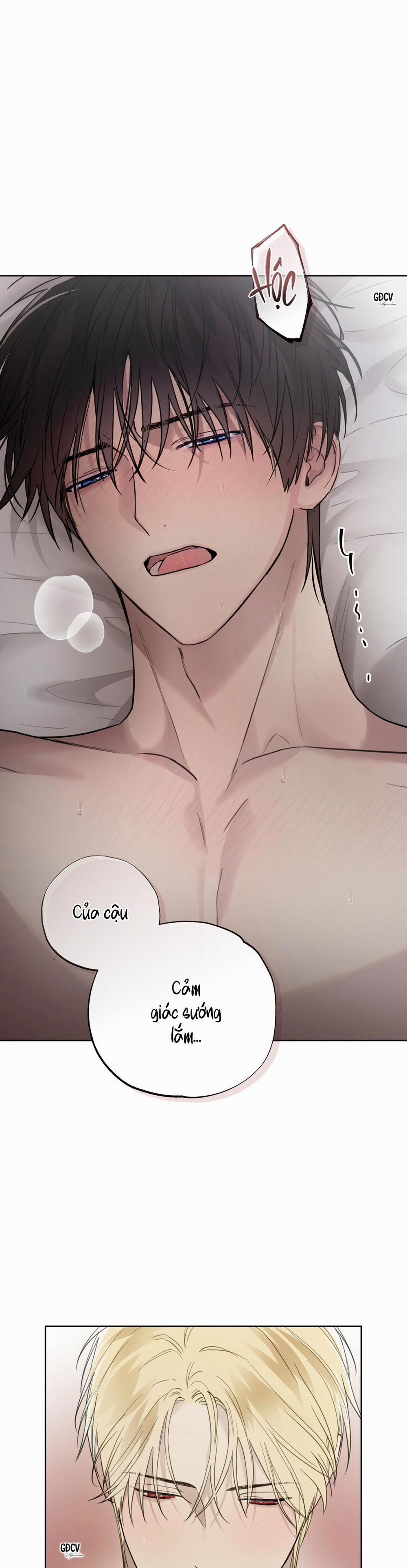 HIỂM HỌA GUIDING 21 0 trang 15