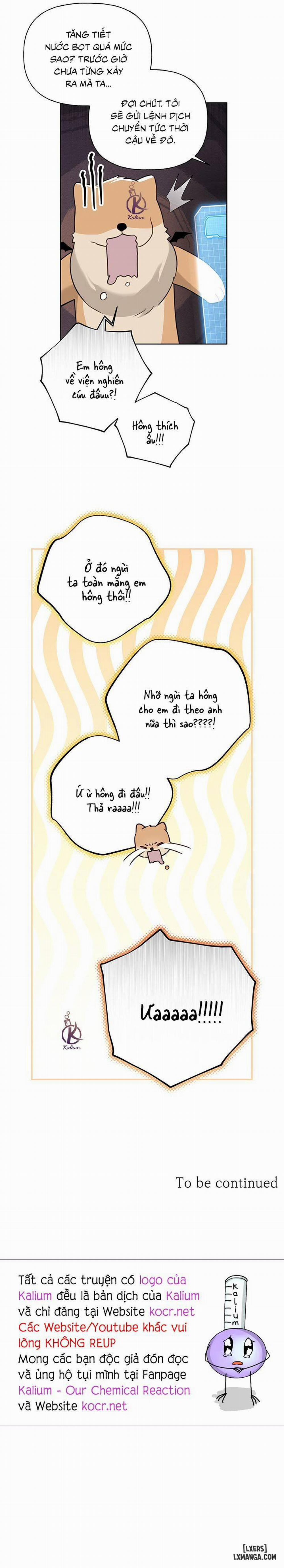 HIỂM HỌA GUIDING 23 trang 16