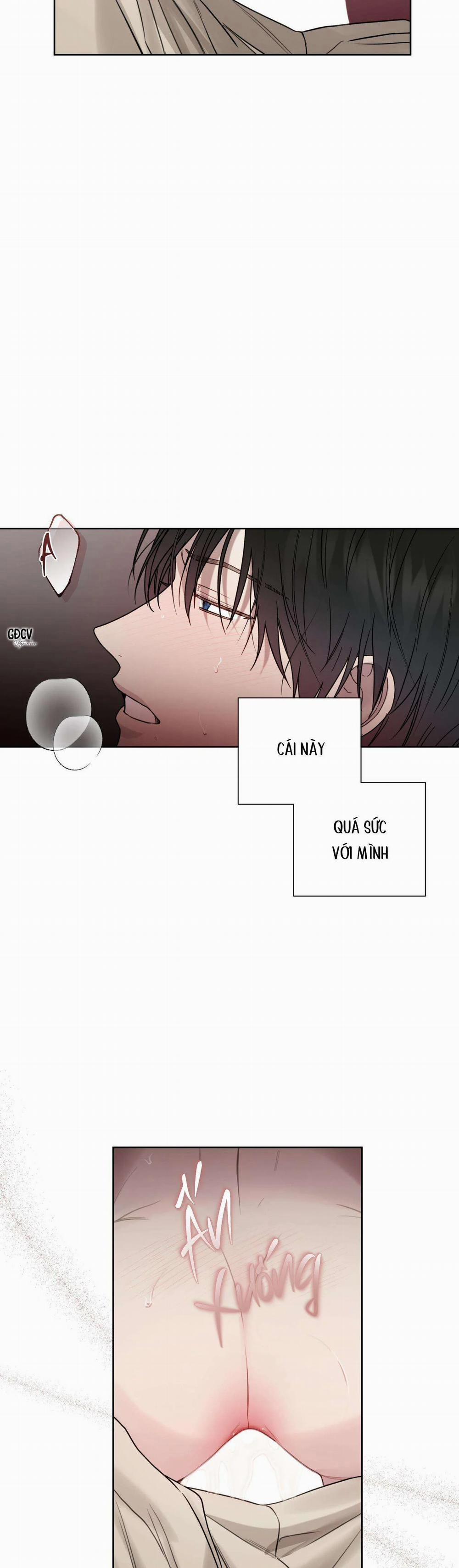 HIỂM HỌA GUIDING 28 0 trang 11