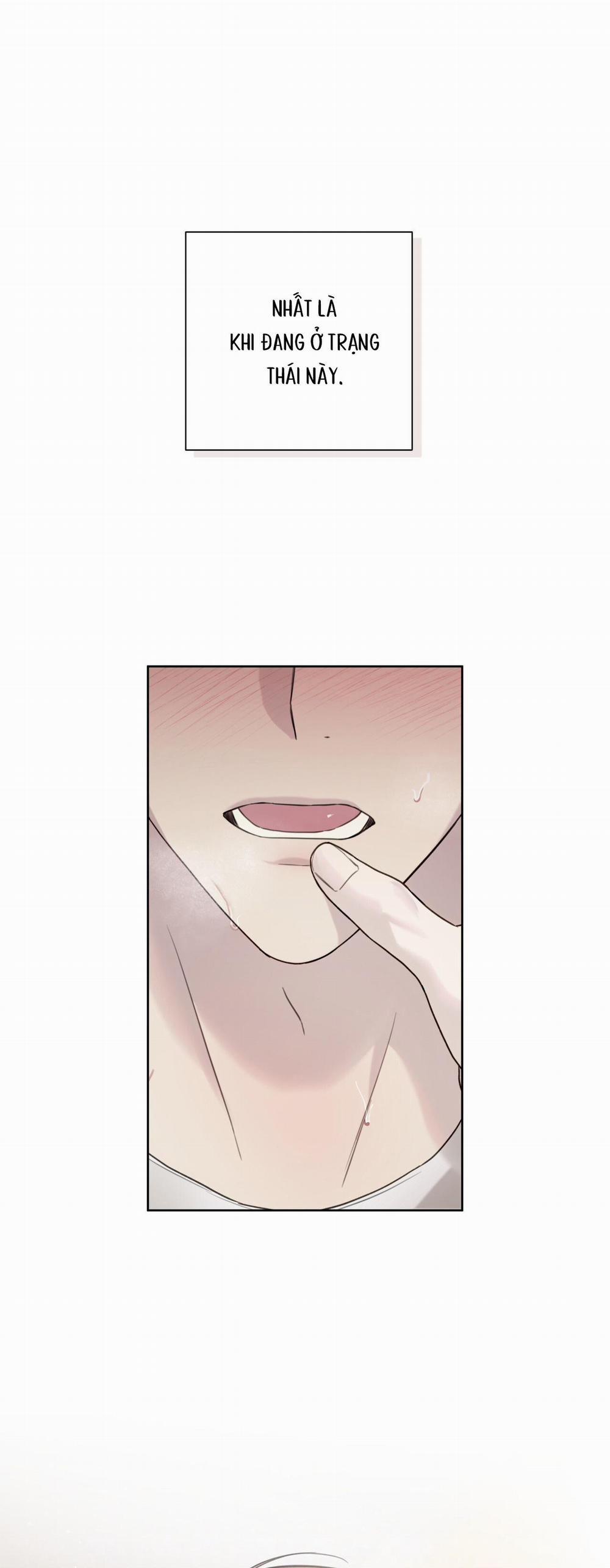 HIỂM HỌA GUIDING 33 0 trang 13