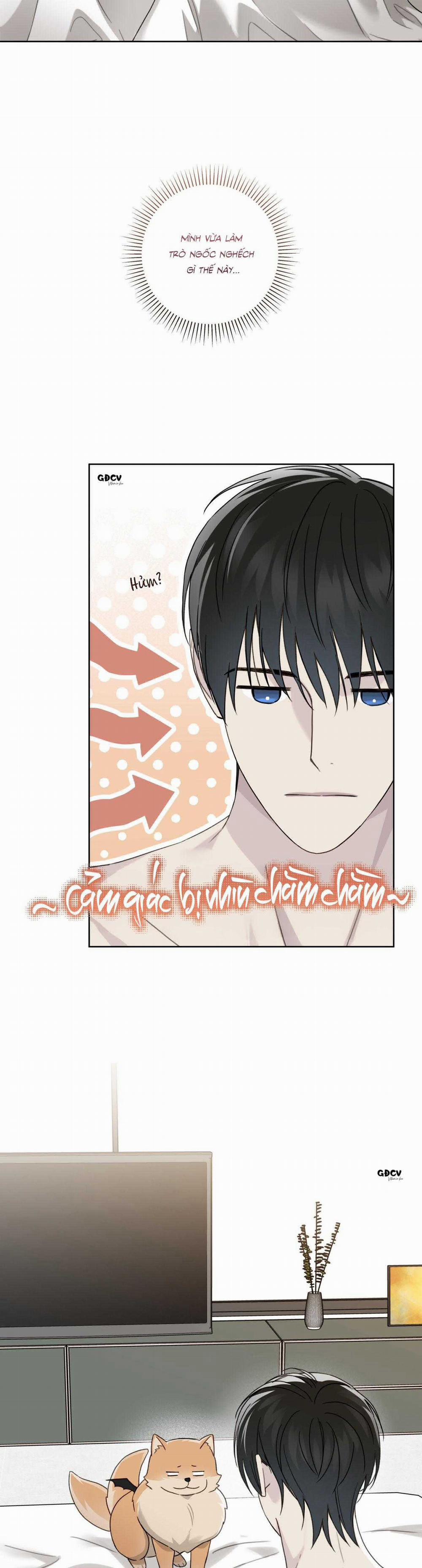 HIỂM HỌA GUIDING 49 trang 6