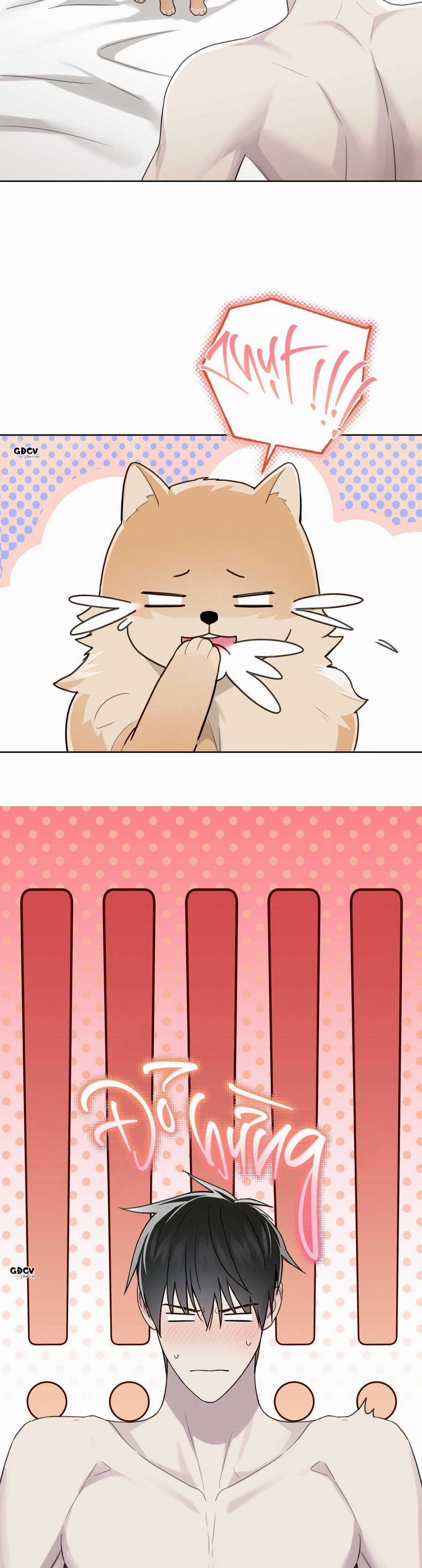 HIỂM HỌA GUIDING 49 trang 7