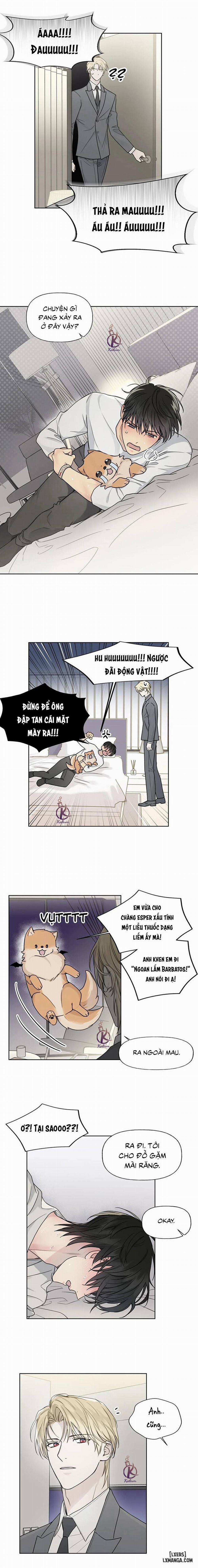 HIỂM HỌA GUIDING 8 trang 6