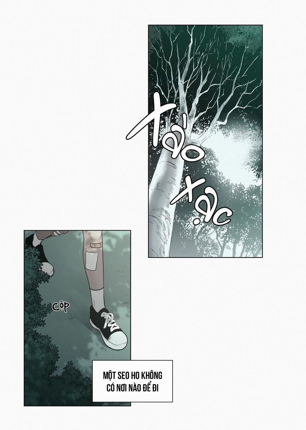 Hiến Tế Máu 28 trang 10