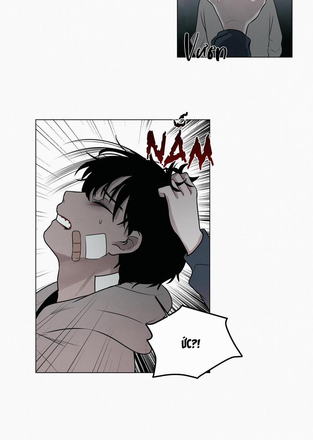 Hiến Tế Máu 28 trang 29