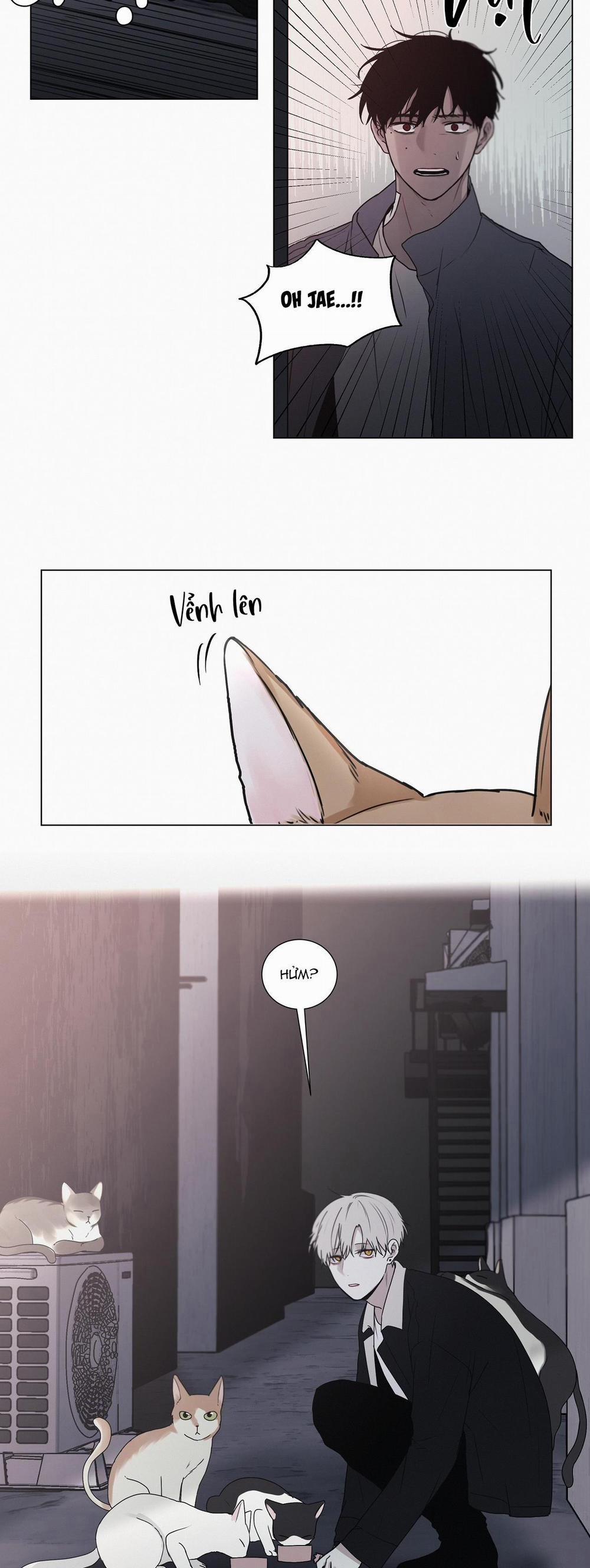 Hiến Tế Máu 38 trang 1