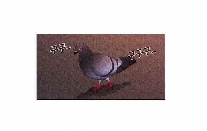 Hiện Thực Của Phim Ảnh 19 trang 71