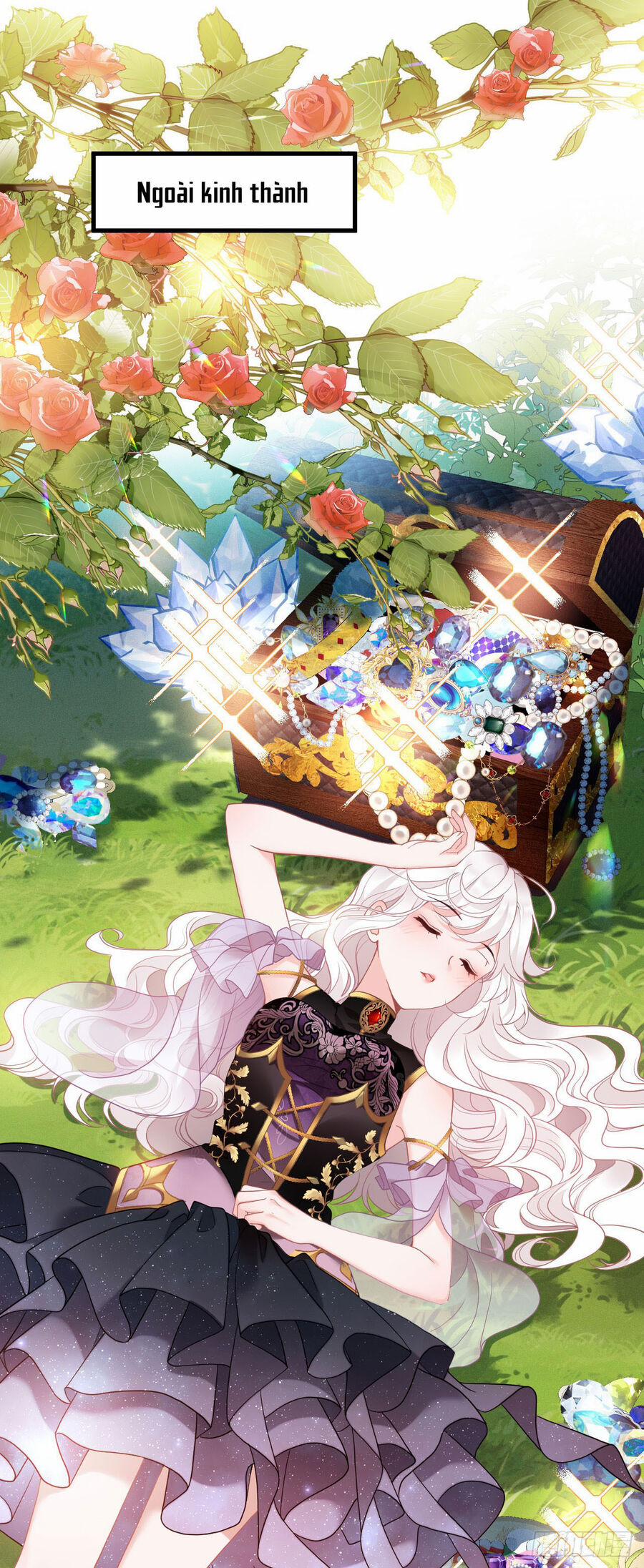 Hiệp Sĩ Độc Quyền Của Long Nữ 1 trang 13