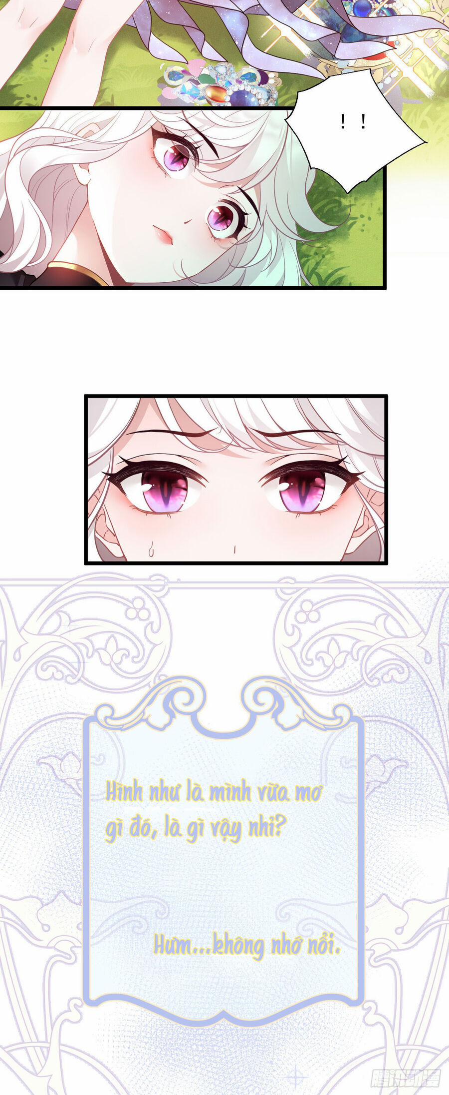 Hiệp Sĩ Độc Quyền Của Long Nữ 1 trang 14