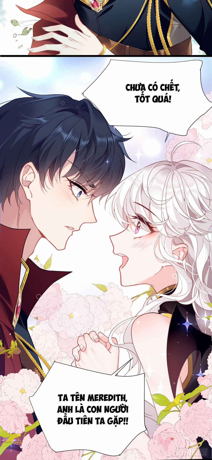 Hiệp Sĩ Độc Quyền Của Long Nữ 1 trang 40