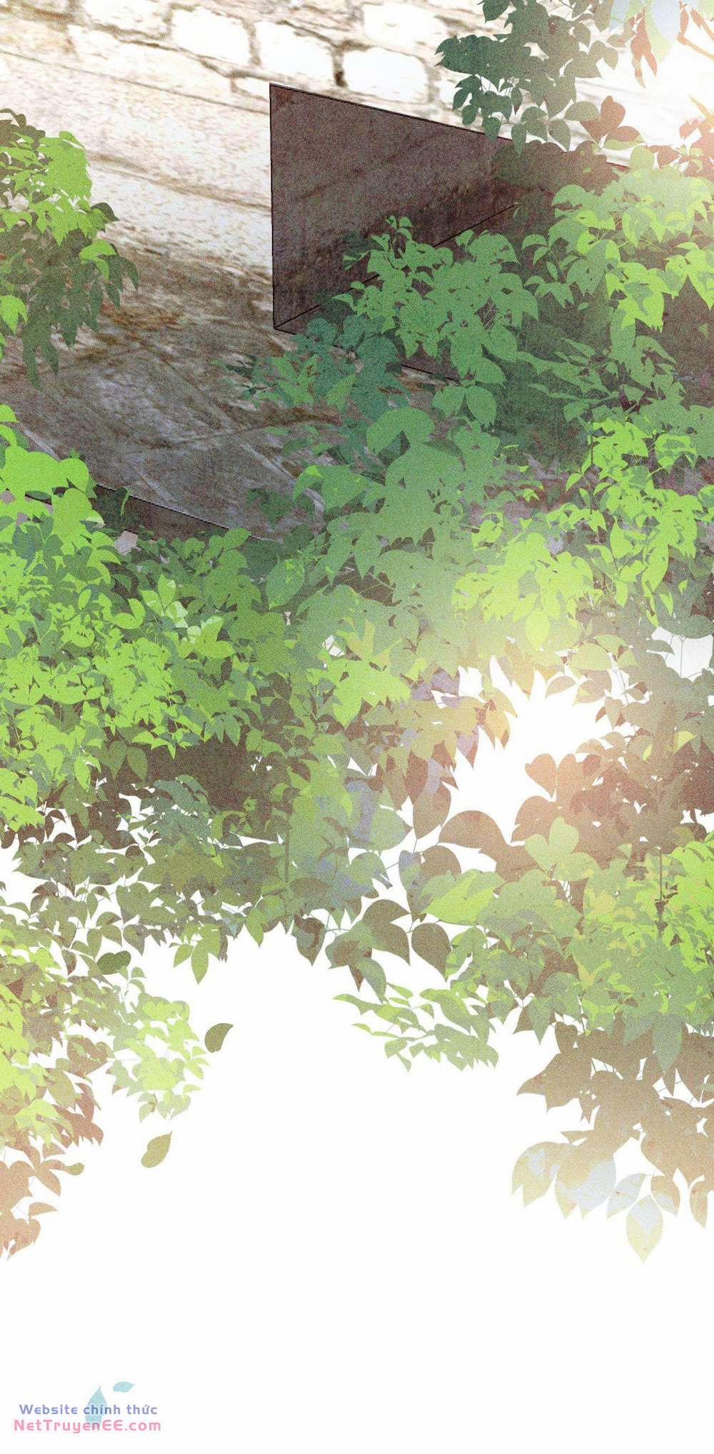 Hiệp Sĩ Độc Quyền Của Long Nữ 9 trang 31