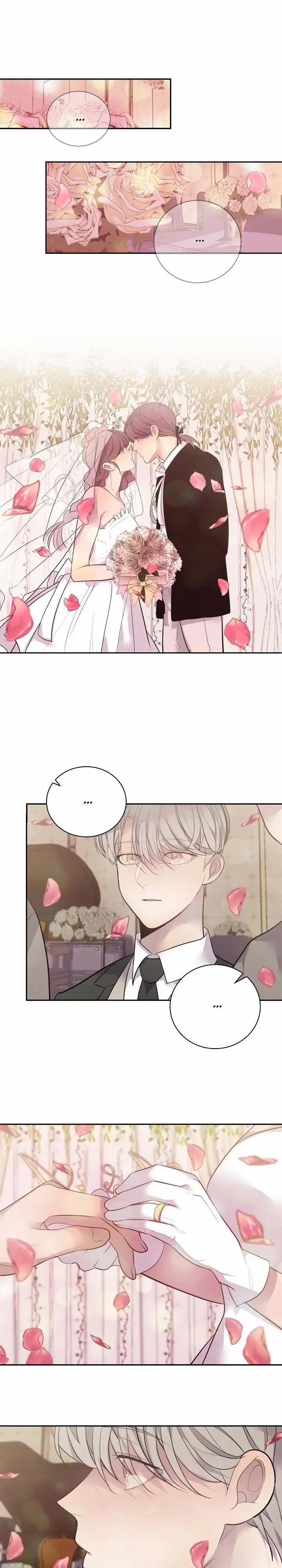 Hiệu Quả Kinh Doanh 50 trang 11