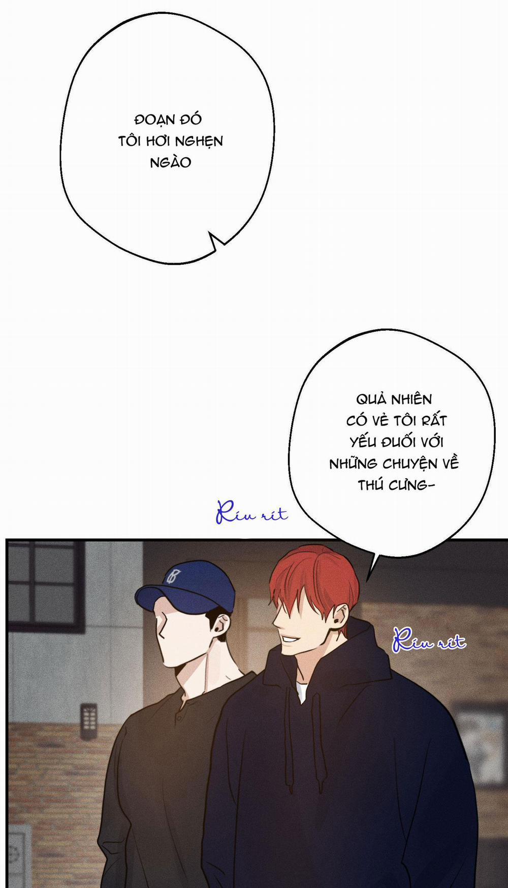 High Clear 11 trang 19