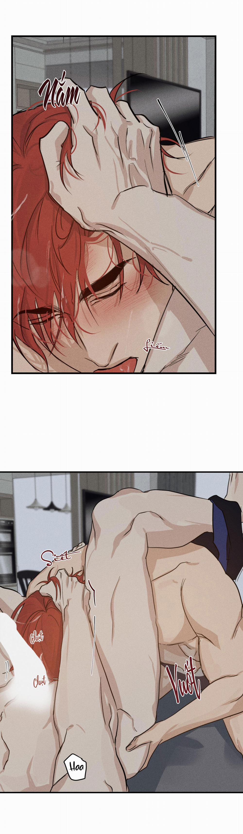 High Clear 12 trang 24