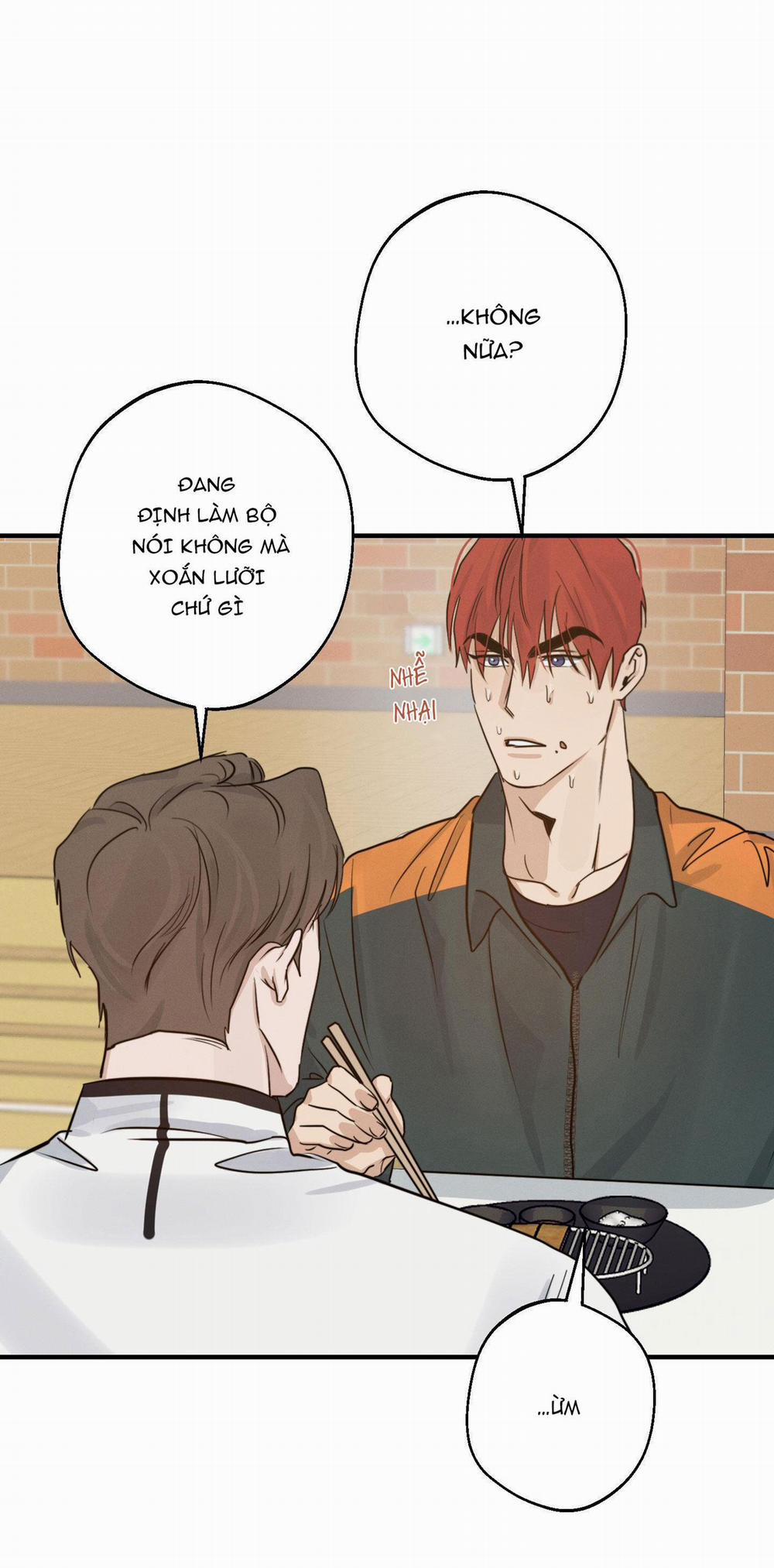 High Clear 15 trang 21