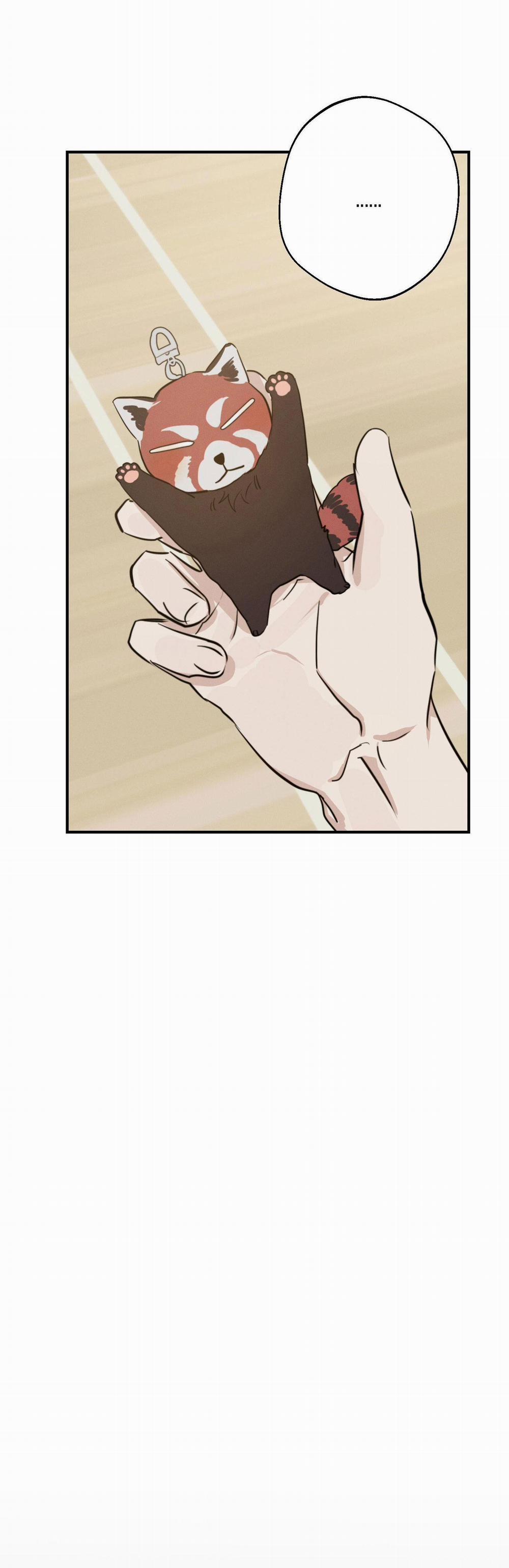 High Clear 15 trang 6