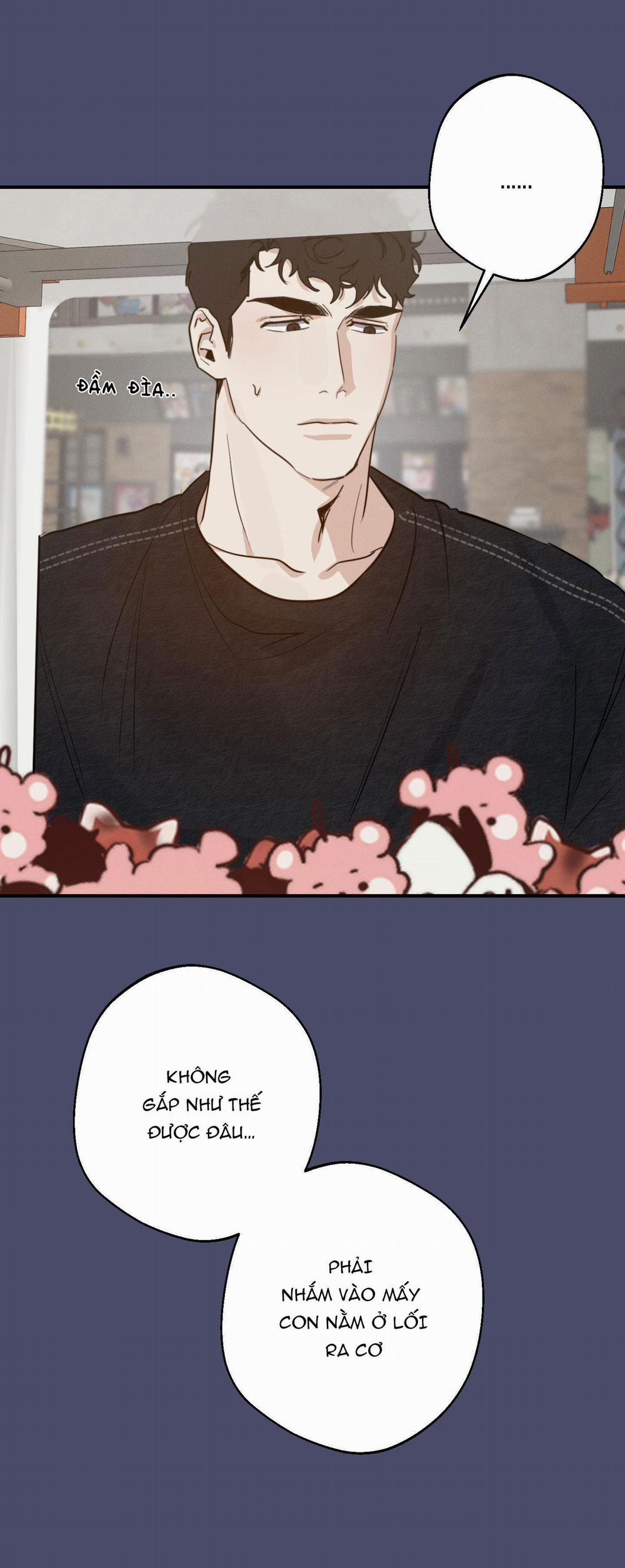 High Clear 15 trang 8