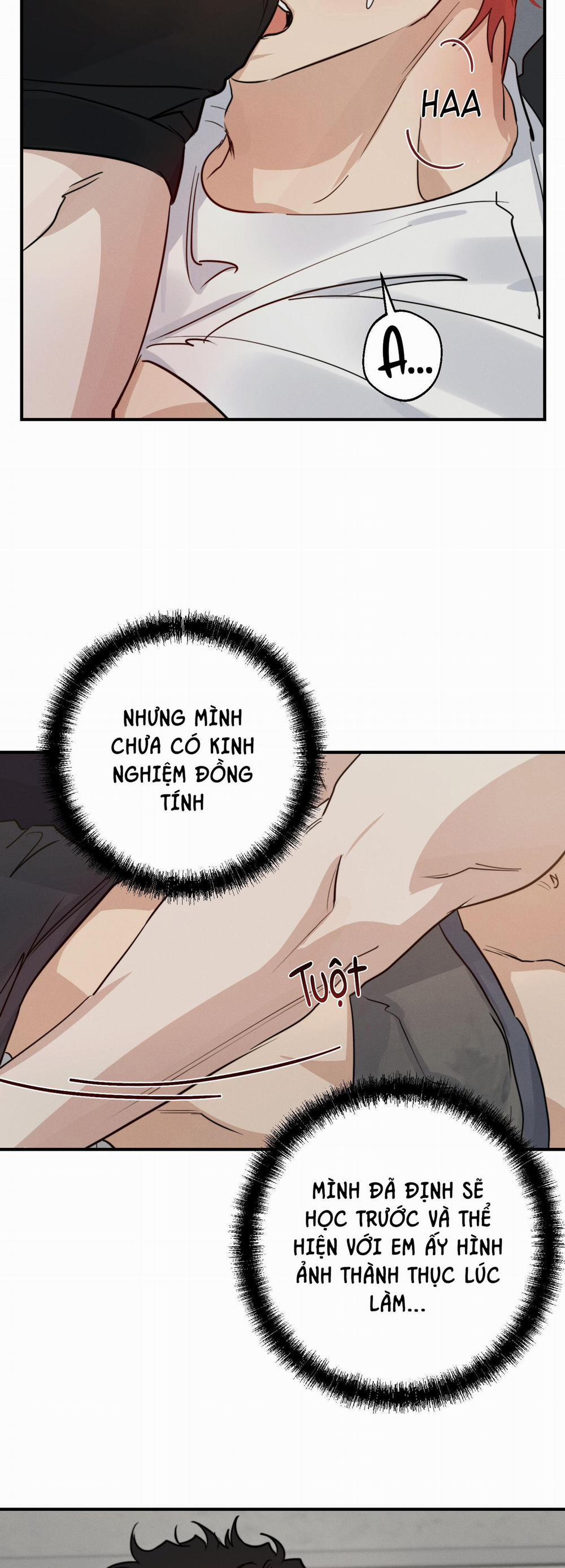 High Clear 19 trang 20