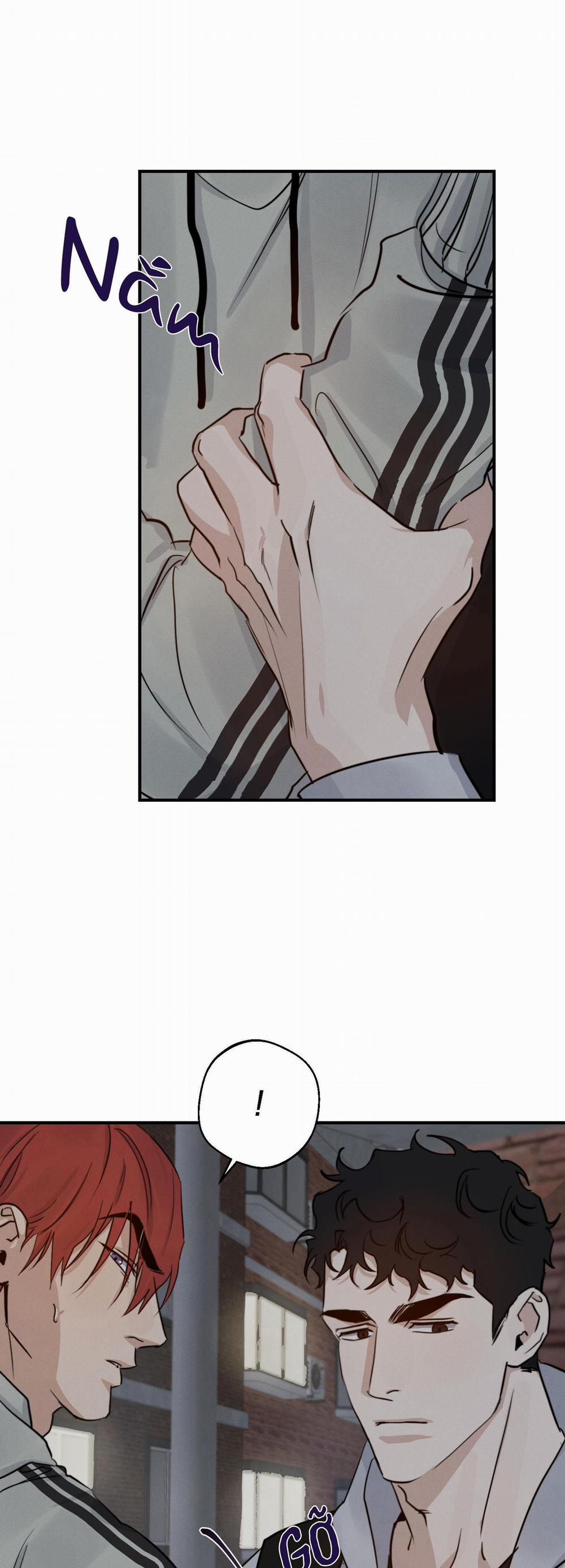 High Clear 19 trang 5