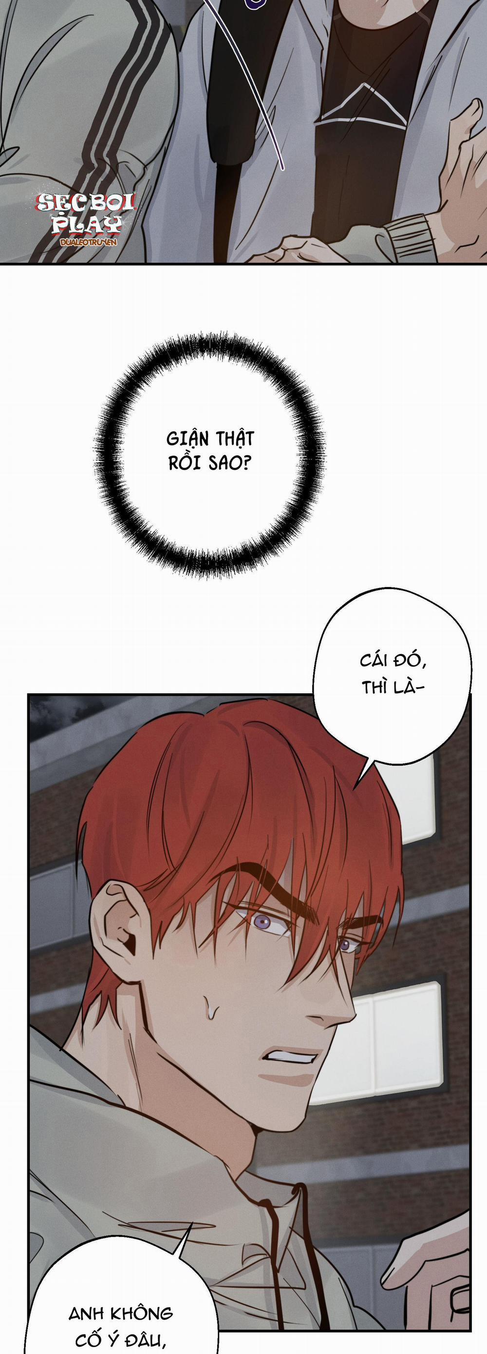 High Clear 19 trang 6