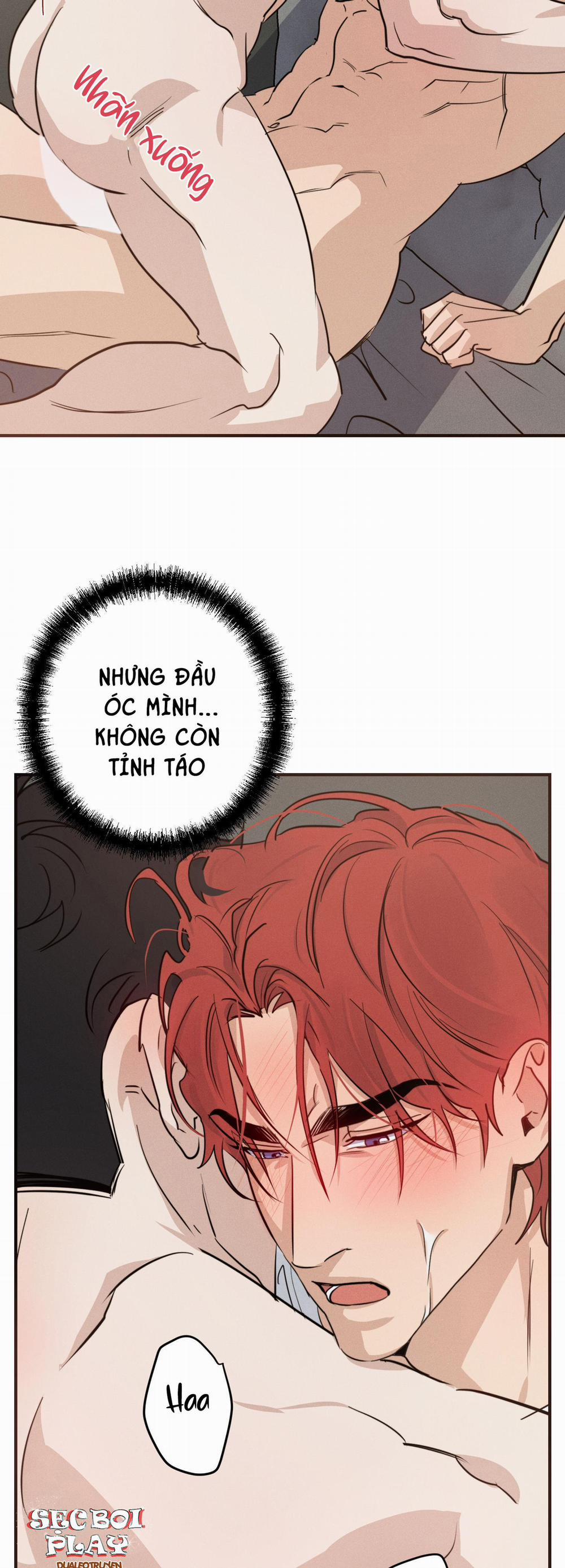 High Clear 20 trang 14