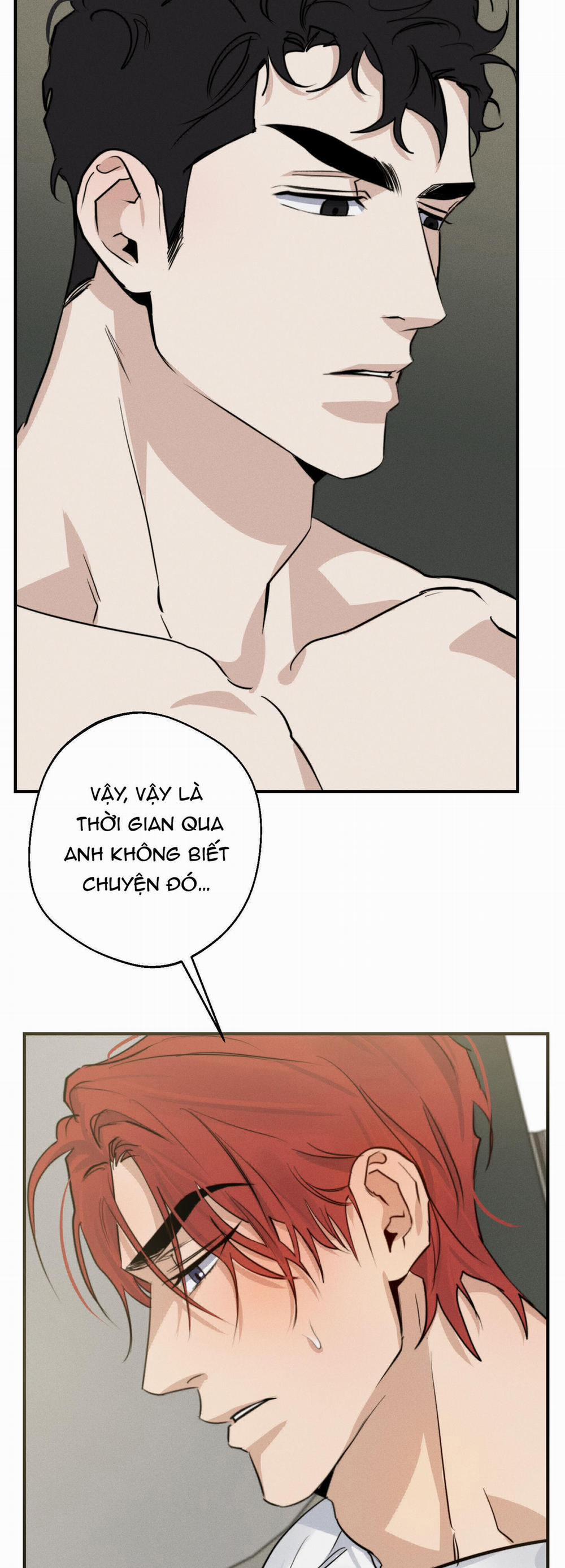 High Clear 20 trang 5