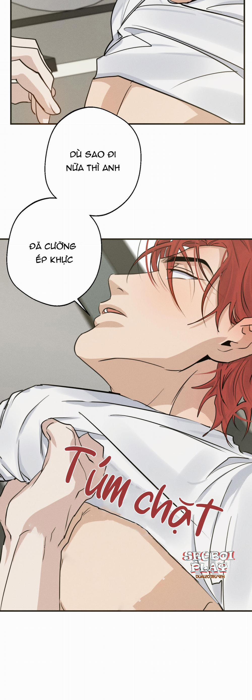 High Clear 20 trang 6