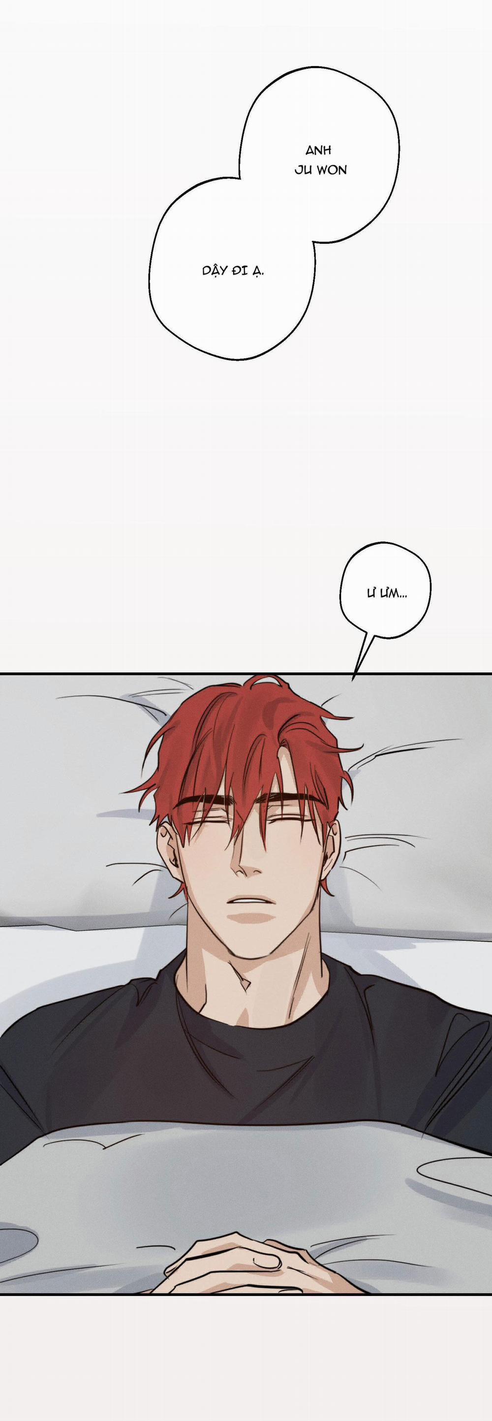 High Clear 21 trang 12