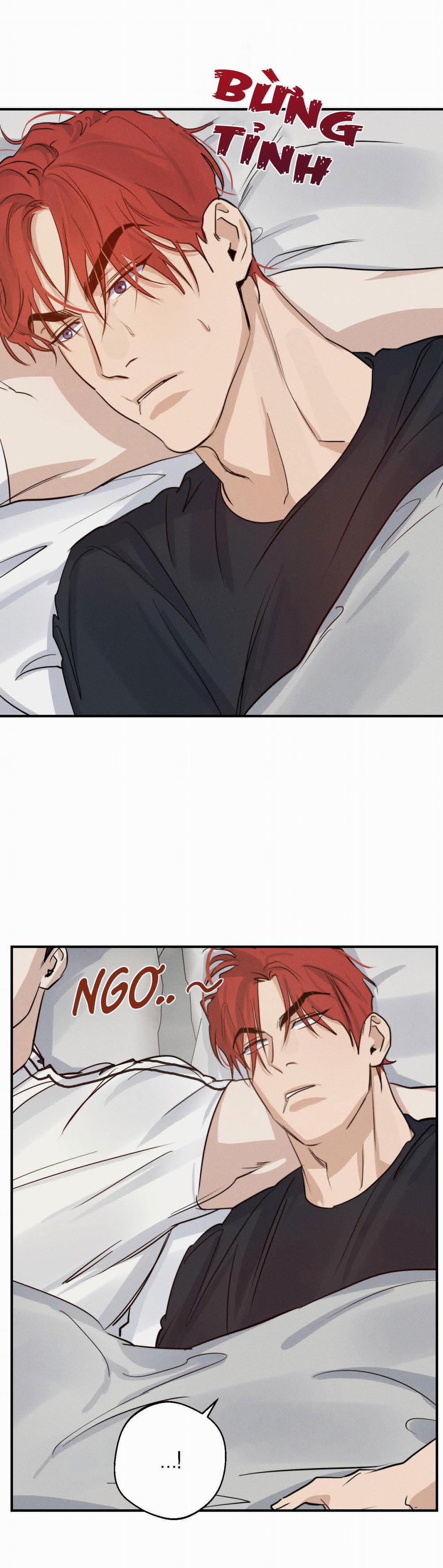 High Clear 21 trang 19