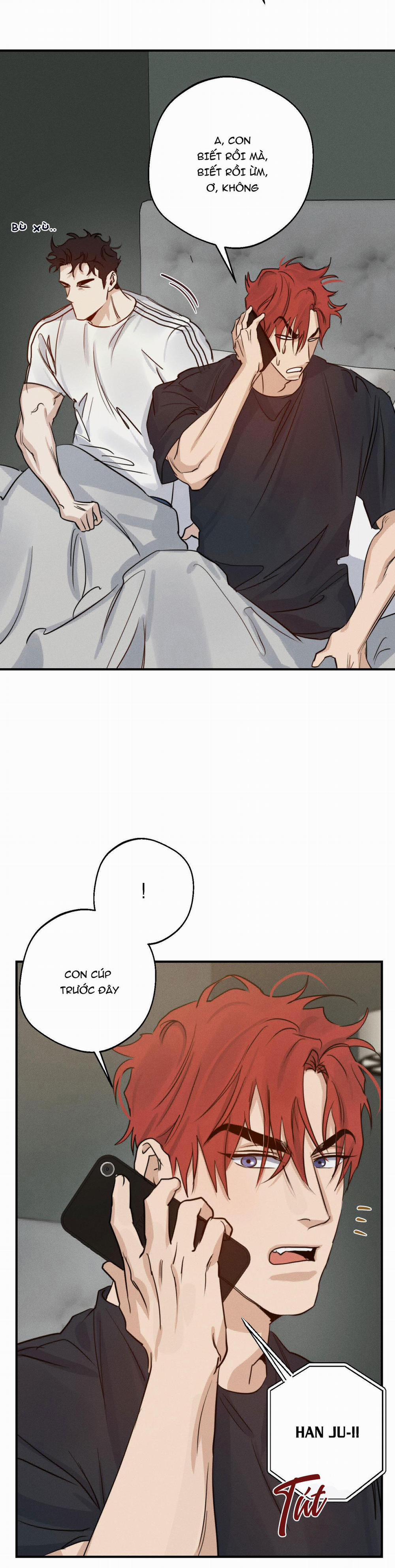 High Clear 21 trang 24