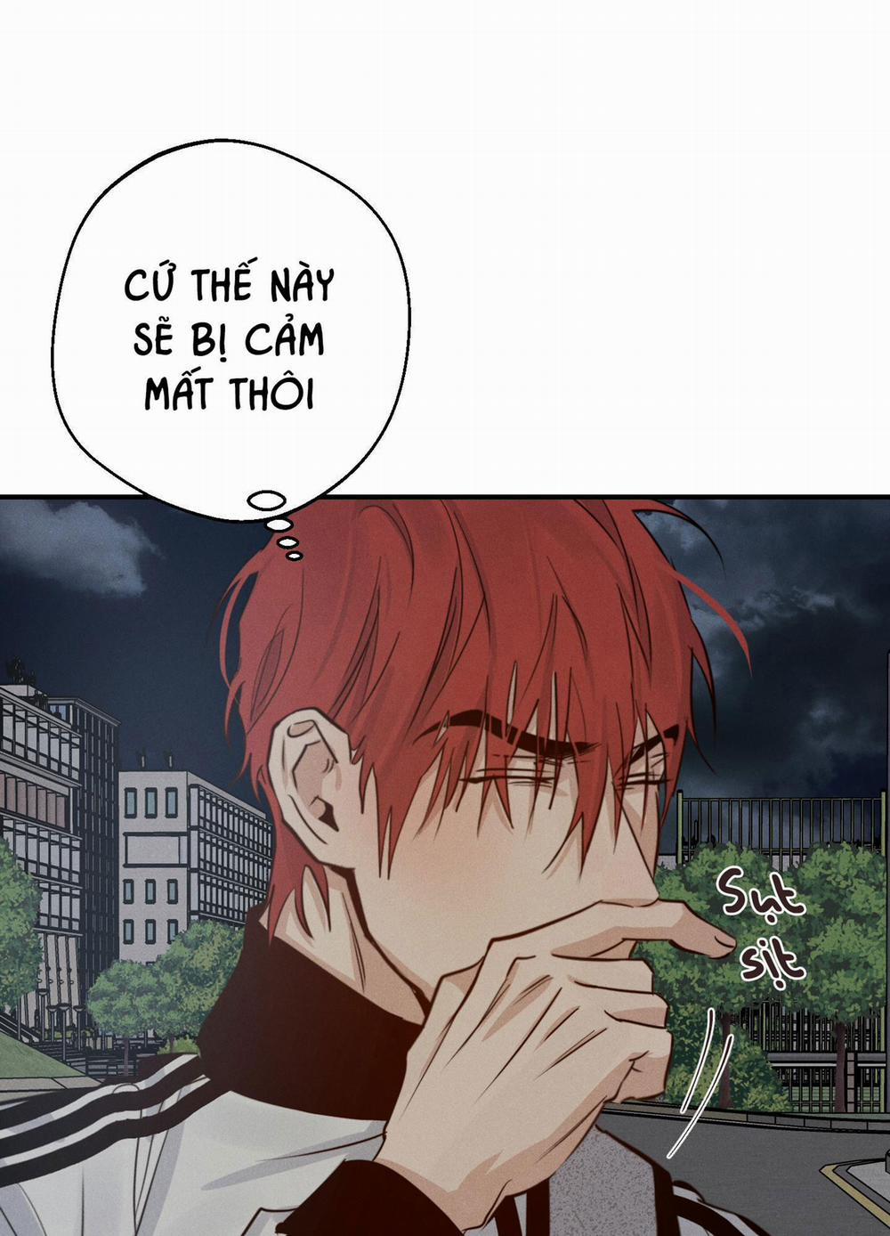 High Clear 22 trang 100