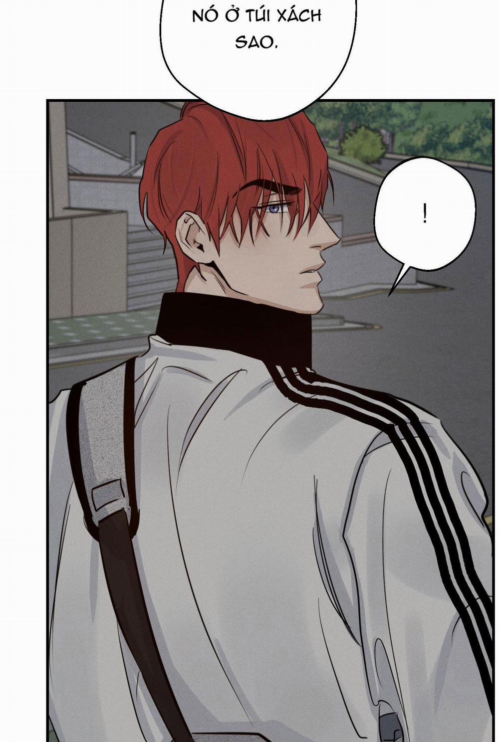 High Clear 22 trang 61