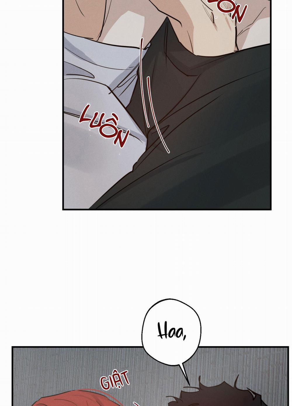 High Clear 24 trang 10