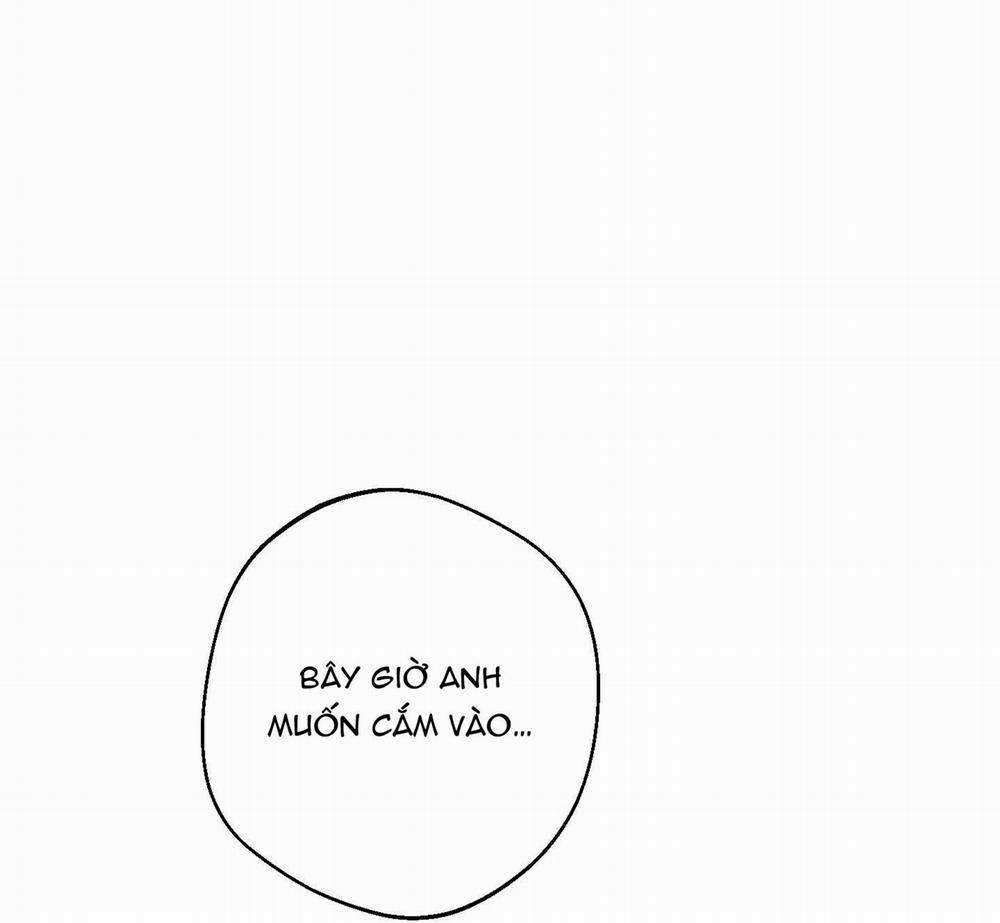 High Clear 25 trang 0