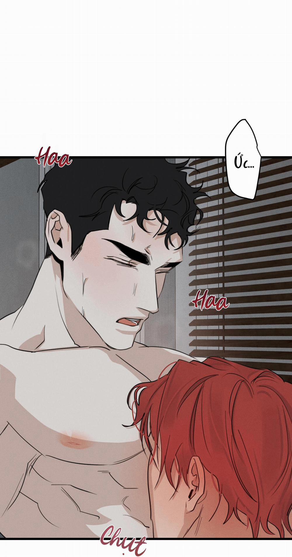 High Clear 25 trang 7