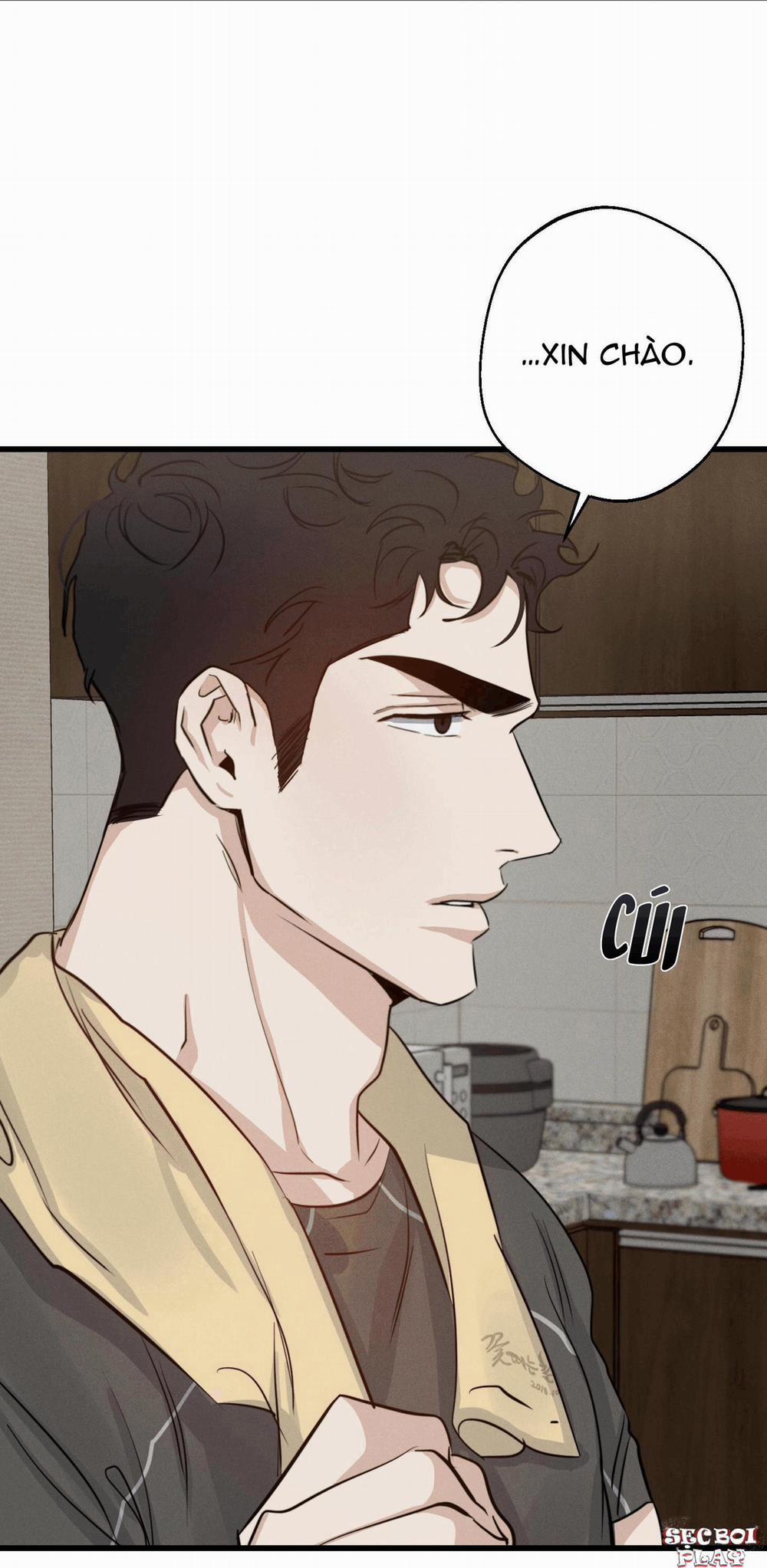 High Clear 25 trang 72