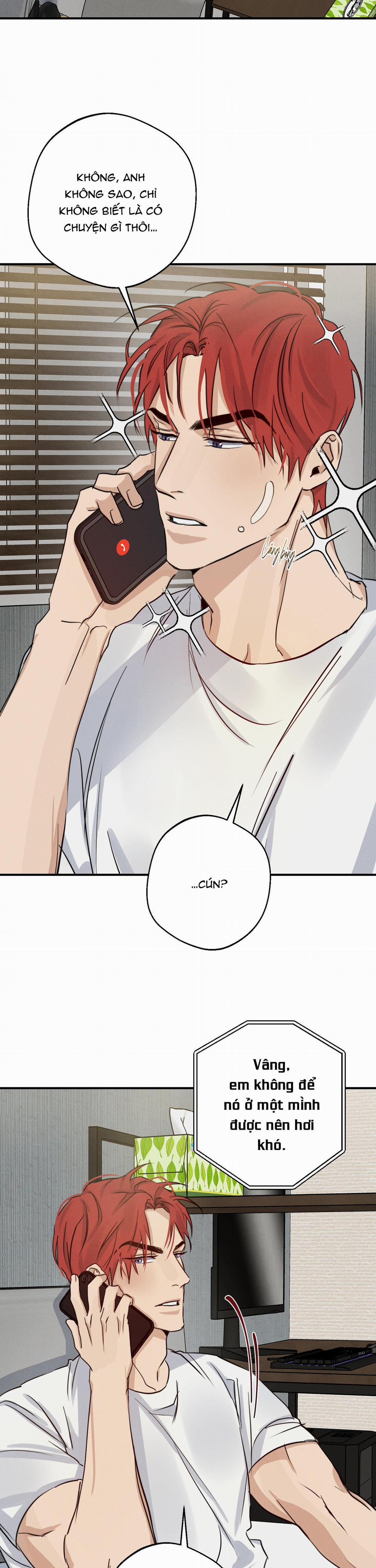 High Clear 26 trang 3