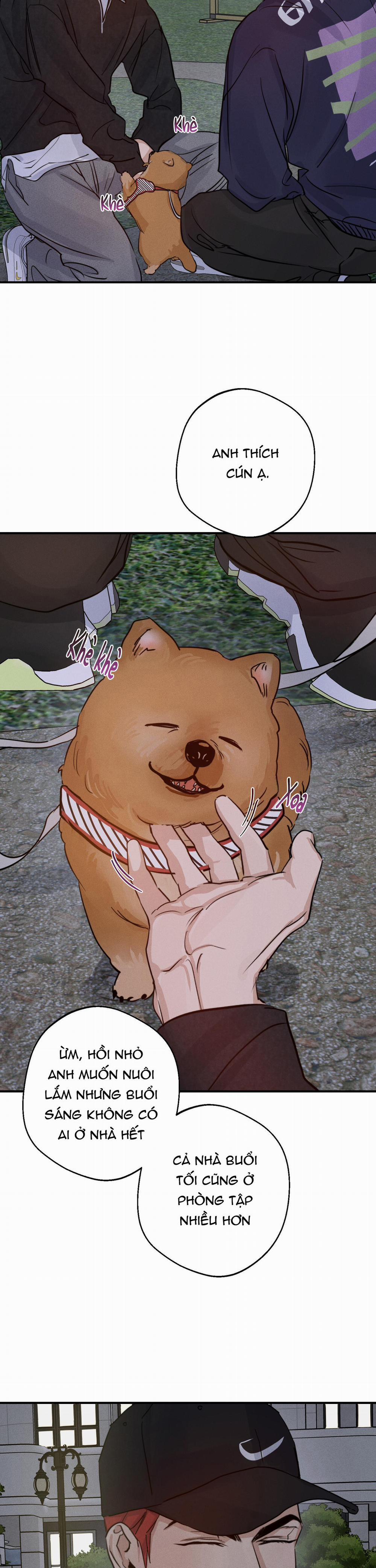 High Clear 26 trang 7