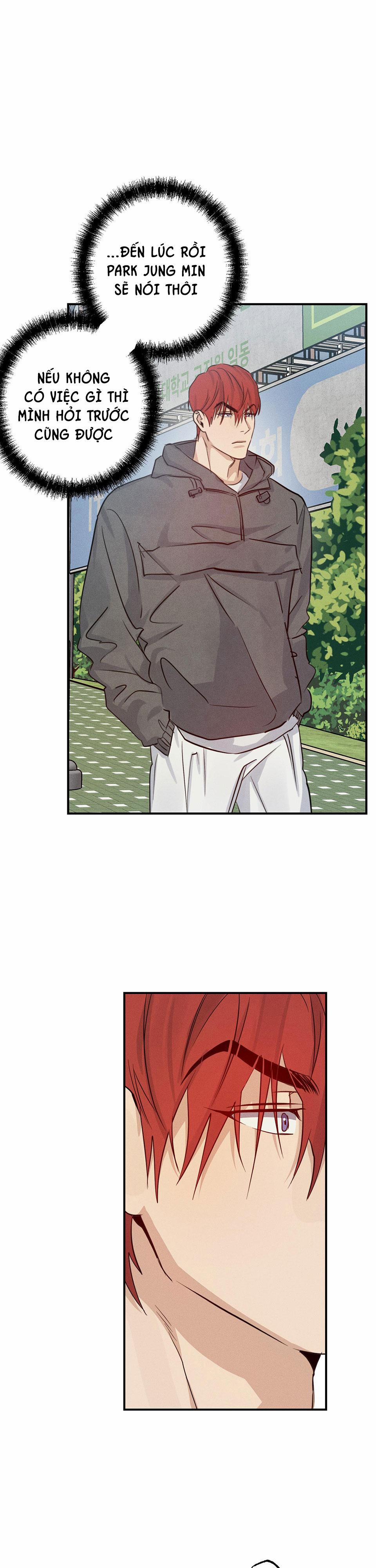 High Clear 30 trang 11