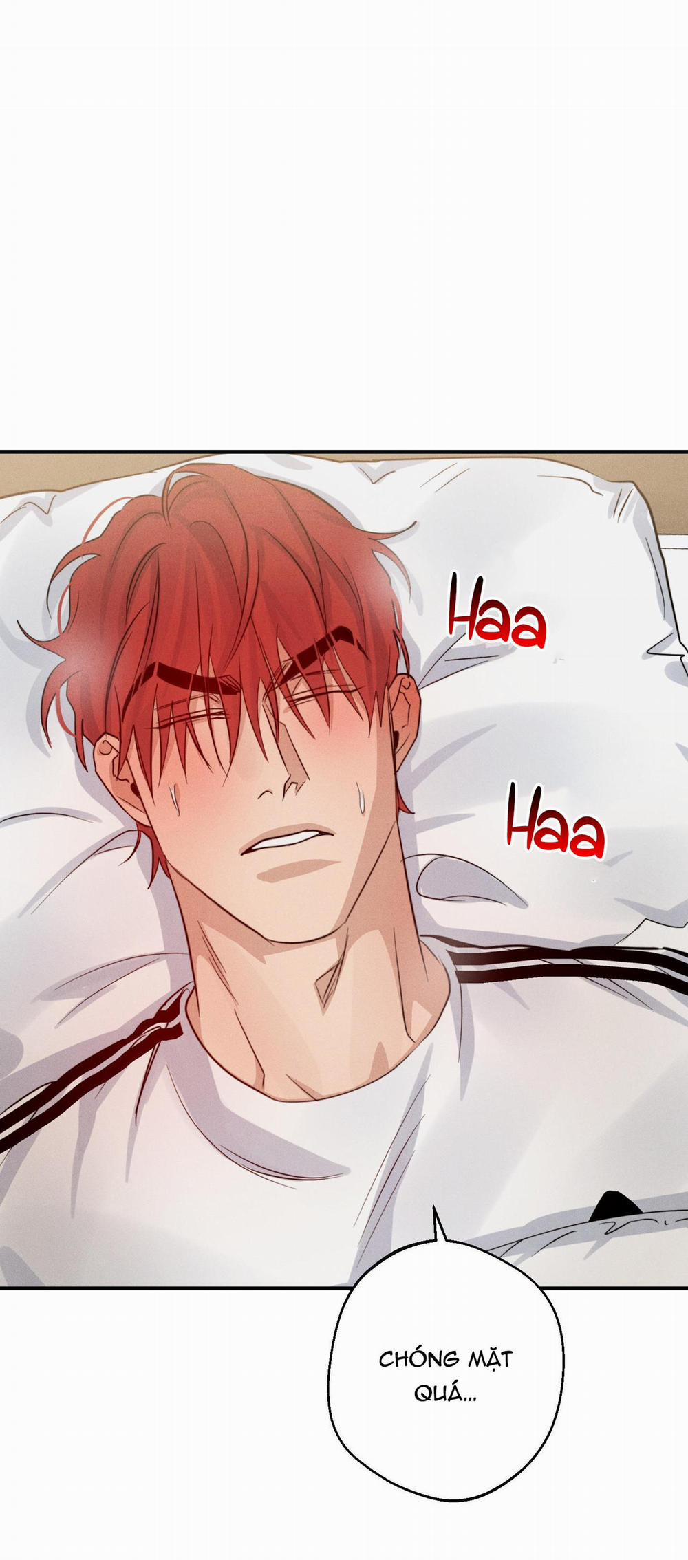 High Clear 32 trang 26