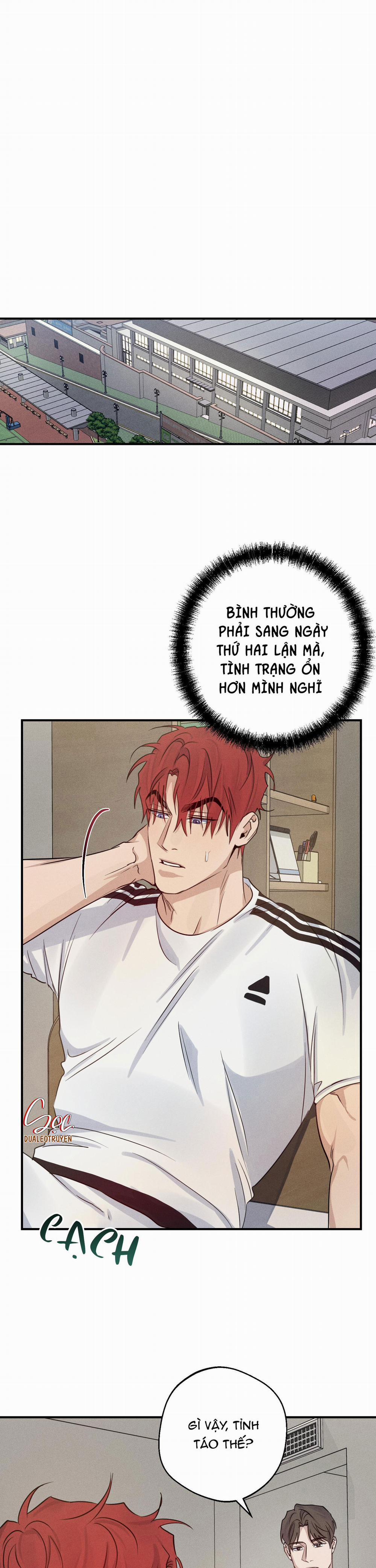 High Clear 33 trang 0