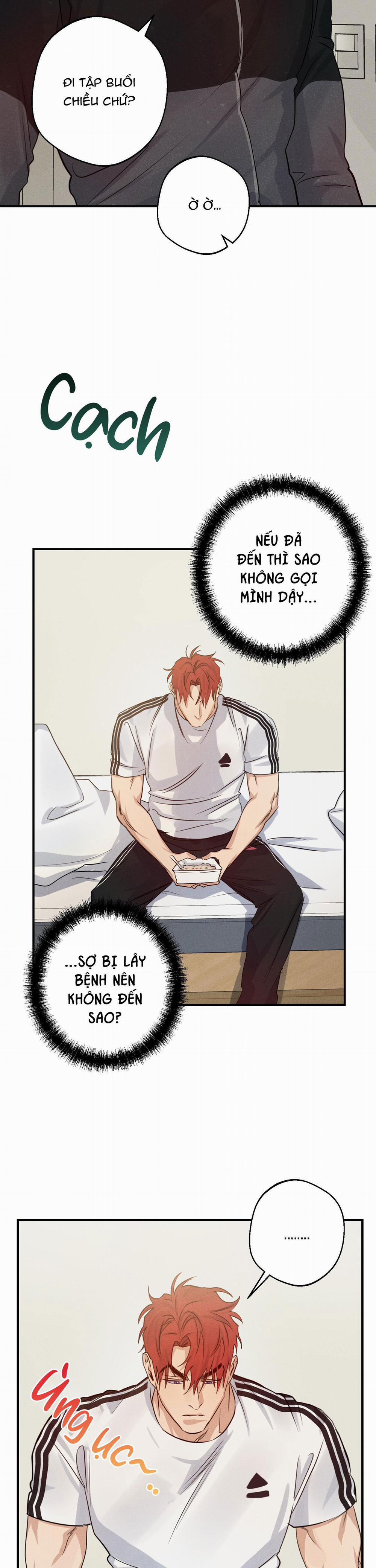 High Clear 33 trang 6