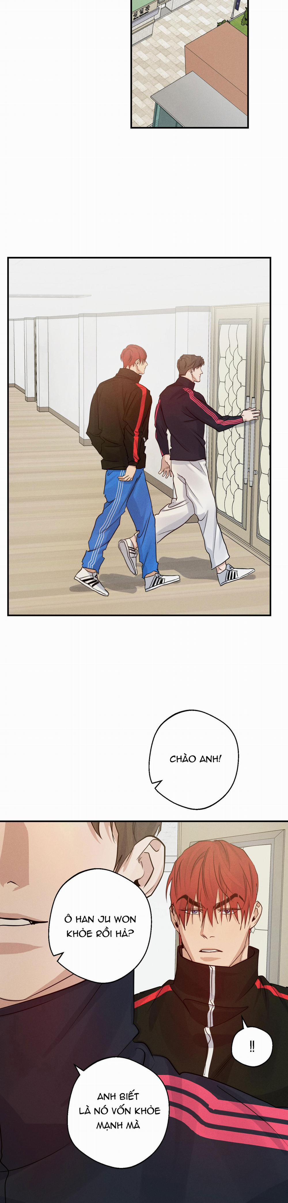 High Clear 33 trang 8