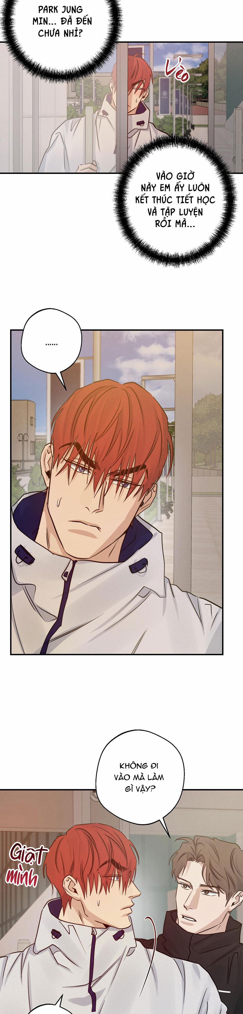 High Clear 36 trang 14