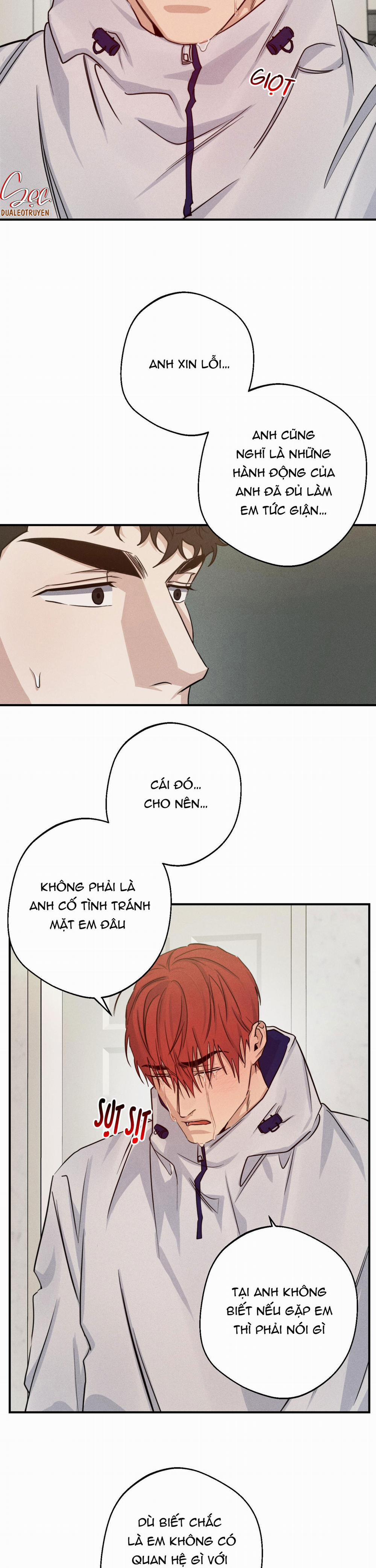 High Clear 37 trang 5